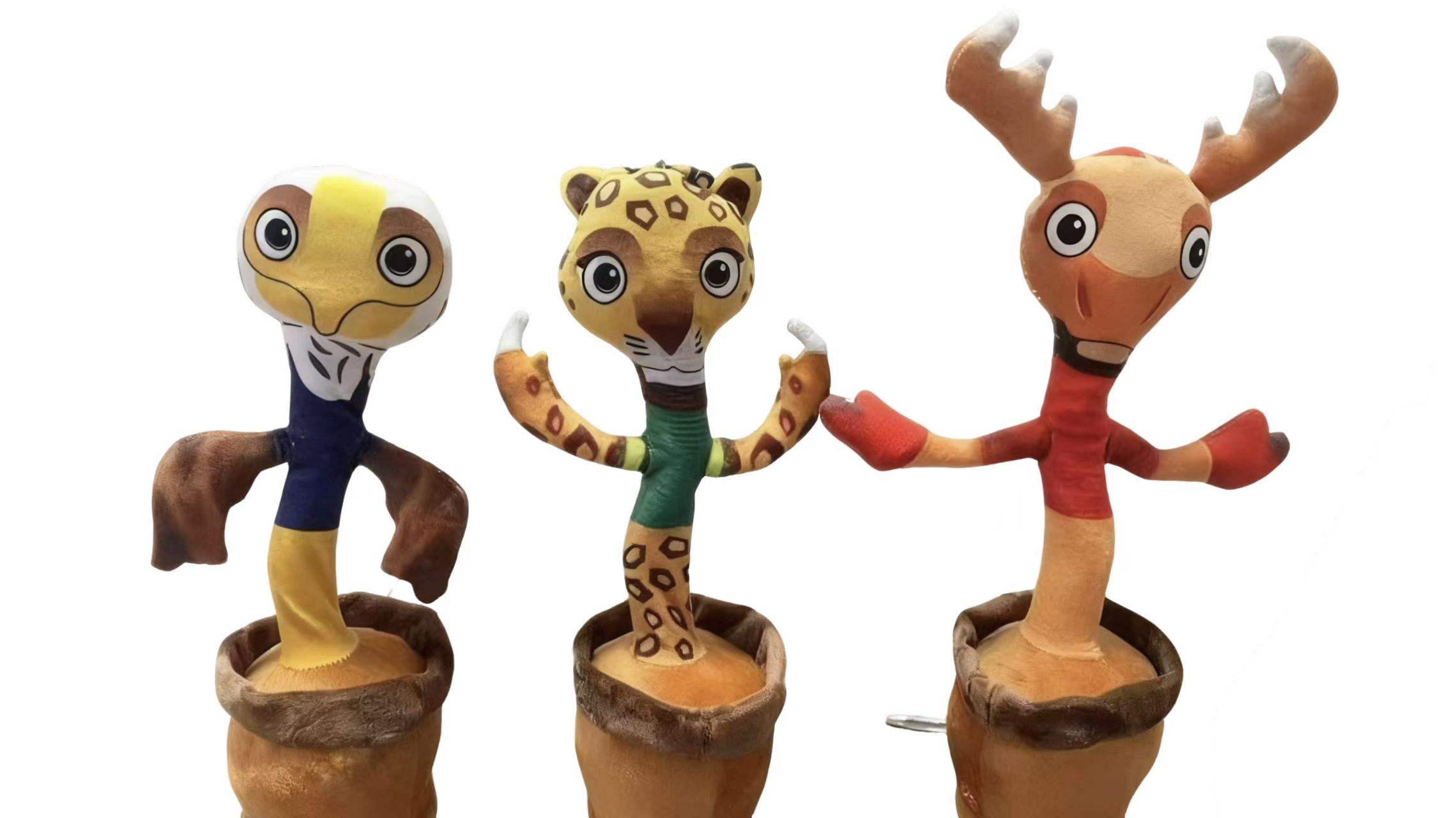 ภาพแสดง