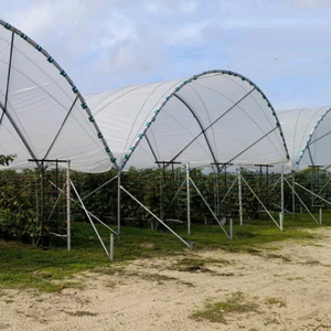 Serre tunnel multi-chapelle durable haute résistance avec couverture anti-UV pour légumes - Product Image 5