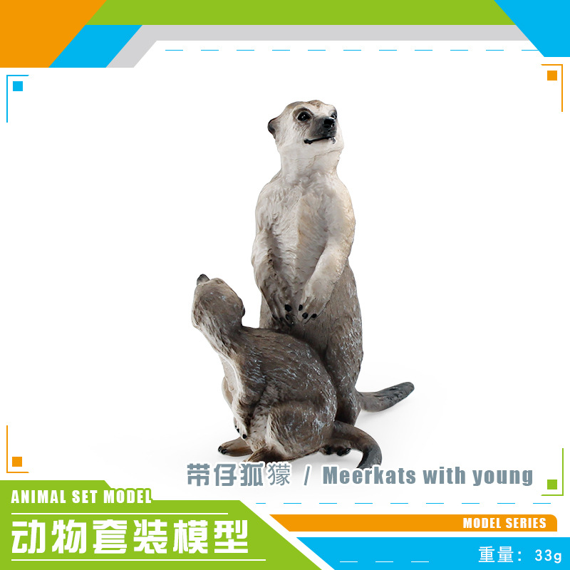 Meerkat PL127-2571 aux jeunes 33g