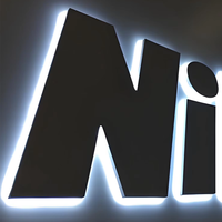 Lettres personnalisées rétroéclairées en acrylique LED pour la publicité décorative intérieure/extérieure des hôpitaux avec alimentation CC et 1 an de garantie