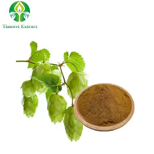 Manufacturer Supply Natural Supplement Hops Flower Extract 5%-98% Xanthohumol Powder