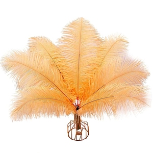 Großhandel 16-18 Zoll Lila Rosa Weiß Gelb Schwarz Straußen federn Große Kleider Bulk Straußen feder Strauß Drabs - Product Image 6