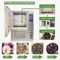 Produit Japonais Entièrement Automatique Commercial Noir Ail Chambre Prix Maker 100 Kg Ferment Machine à Vendre