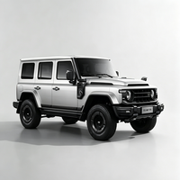 Modèle 2024 212 T01 Nouveau Turbo Gauche R17 Essence 2.0T Explorer Compac Tout-Terrain Robuste Style Chinois Très Rentable