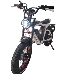 Ebike-bicicleta eléctrica de doble Motor, 48V, 1000W x 2, 22Ah x 2, suspensión completa, freno de aceite, neumático ancho