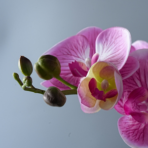 Flor Artificial de Phalaenopsis, Orquídea de Estilo Europeo con 8 Cabezas, Tacto Humectante, Decoración para Sala de Estar - Product Image 3