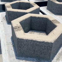 Briques de pavage en béton creuses hexagonales de conception traditionnelle haute résistance avec technologie de cuisson à la vapeur pour applications au sol