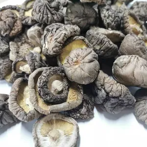 AD grosir jamur champignon kering