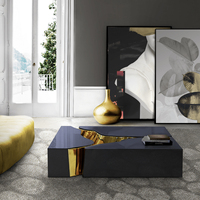 Table basse contemporaine de style karst, design modulaire, laiton poli, laque noire, mobilier domestique