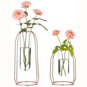 Vase hydroponique en verre et métal INS, dispositif en cristal, terrarium, station <span class=keywords><strong>de</strong></span> multiplication, <span class=keywords><strong>d</strong></span>écor <span class=keywords><strong>de</strong></span> maison, articles mobilier, vase en or - Product Image 2