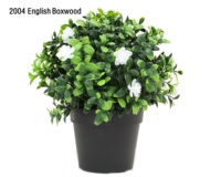 Décoration de bureau, mini-pots de plantes artificielles, fleurs