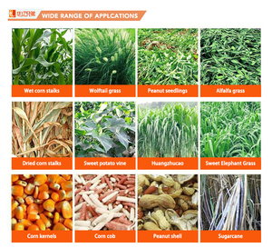 <span class=keywords><strong>ราคา</strong></span>ใหม่ลดลง 3.8-4 ตัน/ชม. เครื่องตัดฟางข้าวโพด หญ้าแห้ง สำหรับสัตว์ ทำจากสแตนเลส เหมาะสำหรับวัว แกะ โค ใช้ทำอาหารสัตว์ - Product Image 5