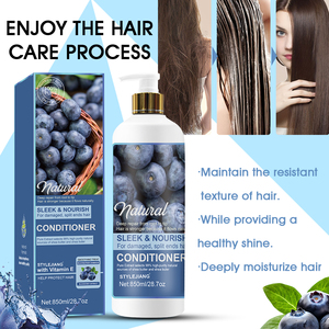 Champú y Acondicionador con Vitamina E y Arándanos Naturales OEM, Champú Reparador para el Cabello para Uso en Salón - Product Image 3