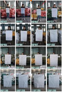 Sac en PP tissé pour l'emballage plastique de 20 kg et 25 kg, doublure pour céréales, graines, aliments de qualité alimentaire - Product Image 3