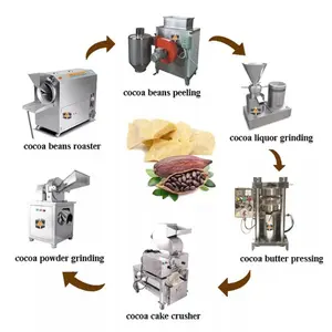 Cocoa Beans/Liquor/Butter/Powder Processing Plant/Cocoa Processing Machines