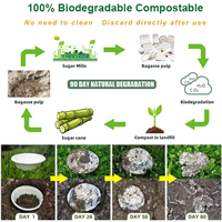 Caja Cuadrada Desechable de 8 Pulgadas con 3 Compartimentos, Caja de Almuerzo de Pulpa de Bagazo de Caña de Azúcar, Embalaje Biodegradable para Comida Rápida para Llevar