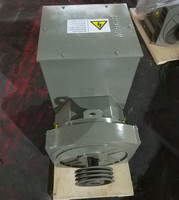 Alternateur triphasé sans balais 50/60Hz AVR à sortie de tension stable pour utilisation mondiale