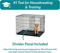 Cage pour animaux de compagnie nouvellement améliorée Cage pour chiens à double porte, comprend une casserole étanche, un panneau de séparation et de nouvelles fonctionnalités brevetées