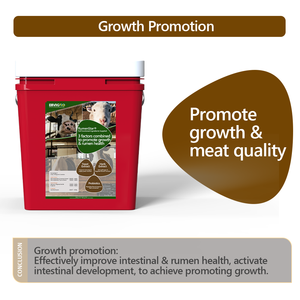 Regulador Rumenstar Contém Extrato de Ervas Microencapsulado, Extrato de Levedura e Probióticos para Promover o Crescimento de Gado Ruminante e Ovelhas - Product Image 4