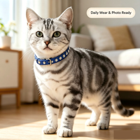 Collier pour chat et petit chien de luxe, couleur unie, avec strass, collier en PU pour animaux de compagnie