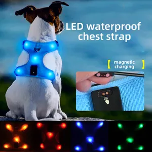חיות מחמד כלבים וחתולים LED זוהר חזה לרתום USB נטענת לנשימה אפוד מתכוונן עמיד למים החוצה הליכה רצועה