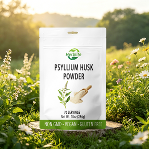 Poudre de Psyllium OEM ODM, Fibres Alimentaires pour le Confort Digestif et le Soutien de l'Appétit, Sans OGM, Végétalien, Sans Gluten - Product Image 4
