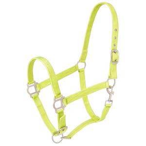 Cabestro resistente para caballos, para entrenamiento, cuidado y control seguro en la establa, para uso diario. - Product Image 1