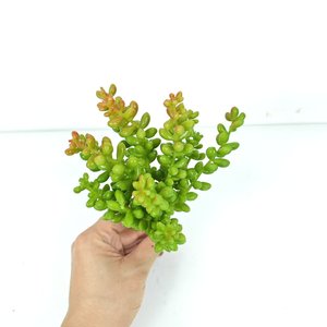 Flor hierba hiedra suculenta planta <span class=keywords><strong>Artificial</strong></span> bola tela y Material plástico para decoración <span class=keywords><strong>de</strong></span> pared interior al aire libre ocasiones <span class=keywords><strong>de</strong></span> boda - Product Image 3