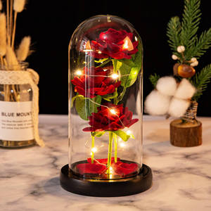 Tres Rosas Preservadas en Cúpula de Cristal, Adornos para el Día de la Madre, Flor Simulada con Cubierta de Cristal, Luces LED, Rosa Eterna - Product Image 5