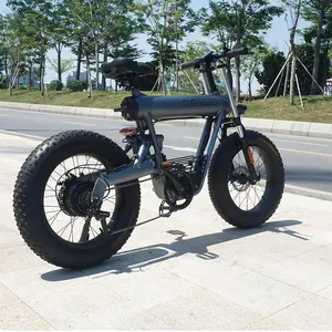 The Cheapest Stock Removable Battery 10ah 500W Motor 20 Inches Fat Tires Electric Bikes