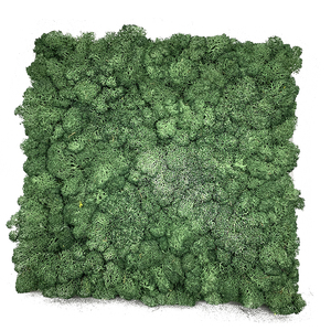 Usine en gros personnalisé Haute Qualité Préservé <span class=keywords><strong>Mousse</strong></span> panneau décoratif <span class=keywords><strong>fleurs</strong></span> mur <span class=keywords><strong>fleurs</strong></span> artificielles - Product Image 2