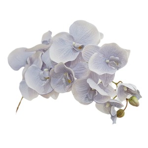 Orchidées Phalaenopsis en soie Haiyi, 10 têtes, style rétro réaliste, pour la décoration de salon et de maison - Product Image 5