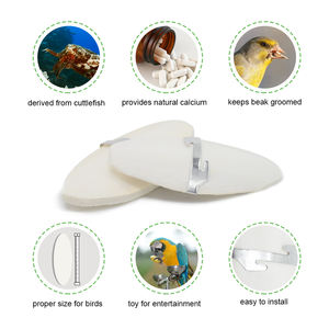 Lot de 6 os de seiche de qualité supérieure, meilleure vente en gros, supplément de calcium pour perroquet oiseau - Product Image 5