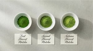 Matcha Japonés Orgánico de Grado Ceremonial, Primera Cosecha, en Polvo, 1 kg |   Venta al por Mayor - Product Image 5