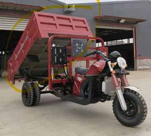 Tricycle à moteur Dump Cargo Moto pour adultes Essence Carburant - Product Image 5