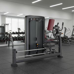 Banc de musculation réglable pour salle de sport commerciale, structure en acier robuste, machine d'entraînement abdominal - Product Image 2
