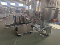 Automatische Bambusspieß-Zählkissen-Verpackungs maschine
