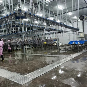 Ligne de traitement automatique pour l'abattage de poulets, équipement de nettoyage et de découpe, <span class=keywords><strong>prix</strong></span> usine - Product Image 4