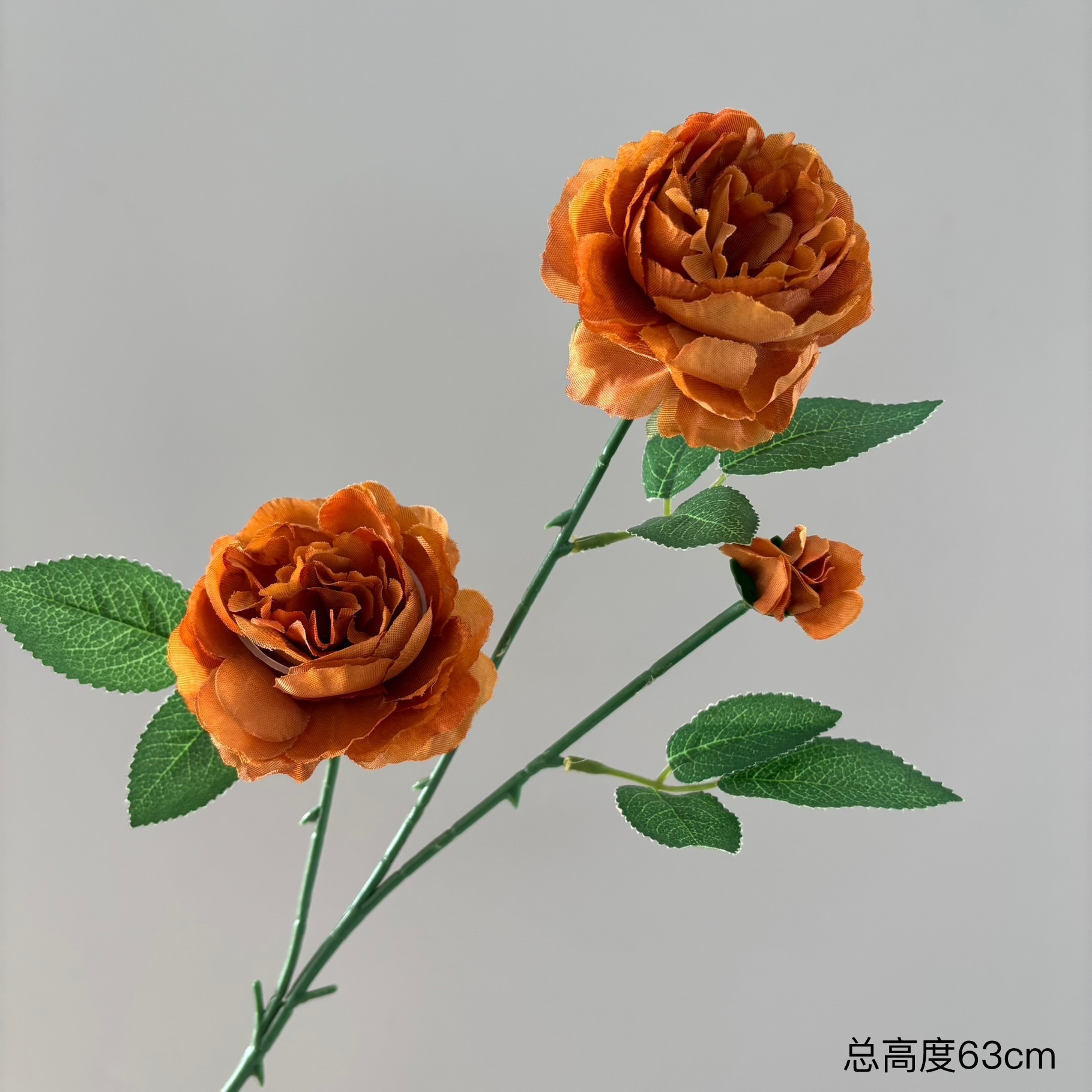 Ranunculus