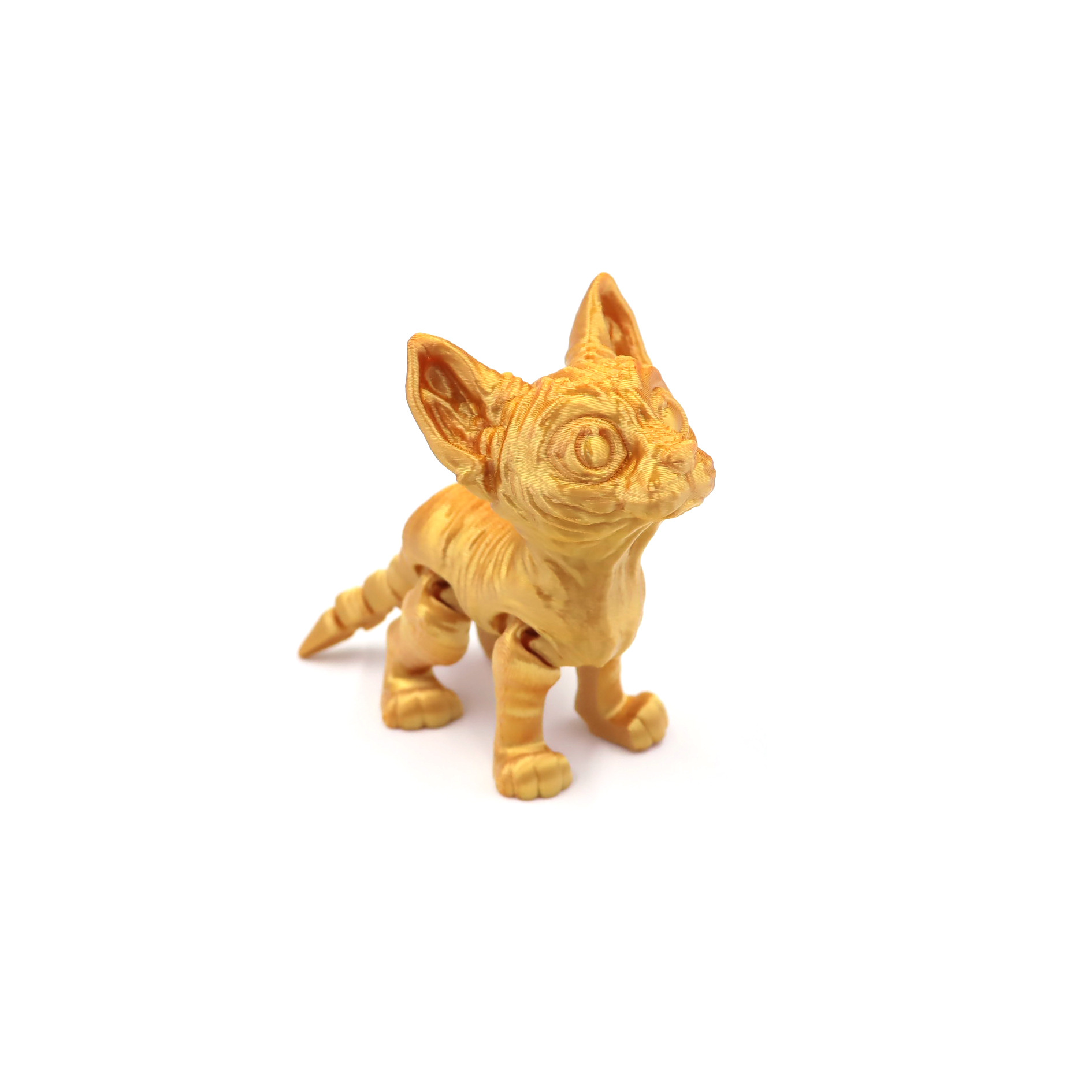 Sphynx cat - Silk Gold