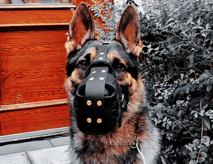 중형 ~ 대형 개를위한 조정 가능한 정품 가죽 개 총구 솔리드 패턴 물린 방지 호출 방지 무차별 수피 마스크 - Product Image 6