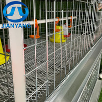 Cage à poulets de type H galvanisée robuste avec cadre renforcé et sol en plastique pour l'élevage avicole