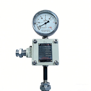 Termometer Tekanan <span class=keywords><strong>Gas</strong></span> WTZd-285 Tampilan Analog Tahan Panas Keluaran Sinyal Nanyang Huaye Zhang Heng - Product Image 2