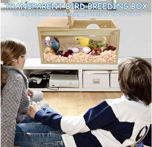 Şeffaf ahşap kuş evi şakayık papağan güvercin yetiştiriciliği kuluçka kutusu ile düğme kapatma sıcak ahşap kuş taşıyıcı - Product Image 5