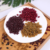 Mini-châtaignes, dattes confites, raisins secs, jouets alimentaires miniatures, accessoires de bricolage en forme de céréales, noix simulées en PVC