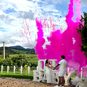 Máquina de revelación de género TNT al por mayor con inicio de un solo clic, cañón pulverizador de polvo rosa y azul para baby shower, fuegos artificiales SFX para fiestas - Product Image 2