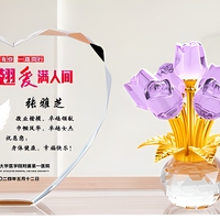 Trophée en cristal personnalisé en forme de cœur pour infirmières, cadeaux de vacances, souvenirs, prix
