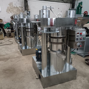 Prensa Hidráulica Automática de Aceite de la Marca Dingsheng, Venta al por Mayor de Fábrica, Extracción de Aceite de Sésamo, Prensado en Frío y Caliente, 150 kg/h, 5 Años de Garantía - Product Image 2