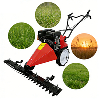 Débroussailleuse autoportée OEM 212cc essence, largeur de coupe 80-120cm, hauteur réglable 1-8cm, marque privée disponible