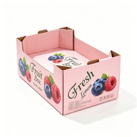 Boîte à fruits en carton ondulé B écologique pour impression numérique – Myrtilles / Pastèques / Cerises / Melons Hami